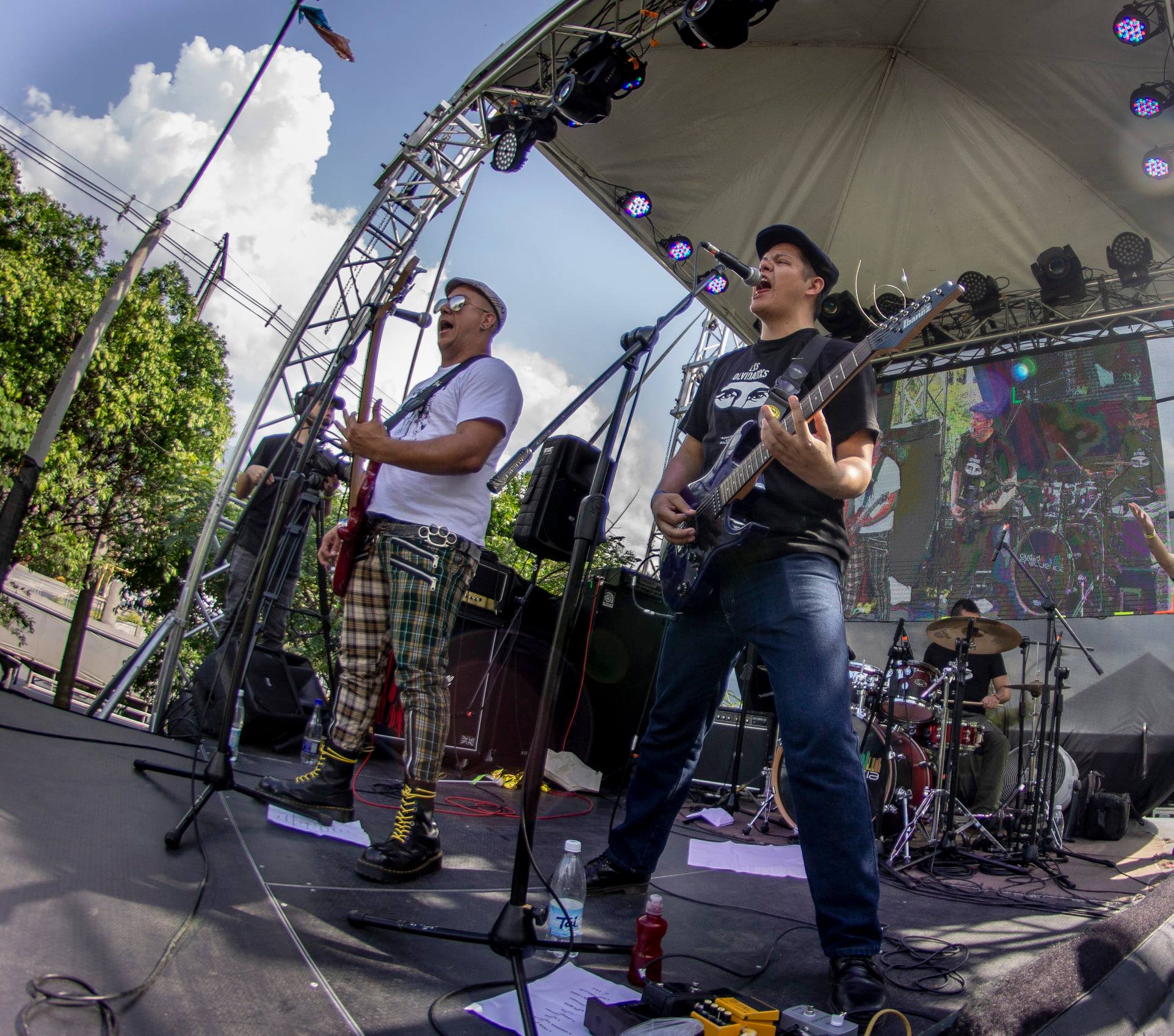 69672791_2453172328261344_2799671799082647552_n